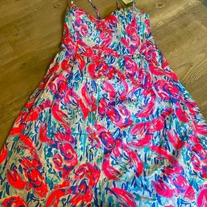 COPY - Lilly Pulitzer Dress